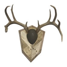 justin_badger86's ideas