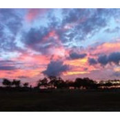 Jeb Brown's photo