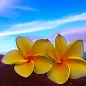 Gail Oster's photo