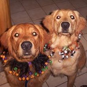 Denise Schleker's photo