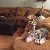 Katie Lebowitz's photo