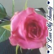 Foto von Sandra Norman