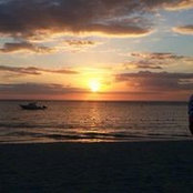 Desi Greco's photo