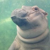 Becky Litchholt's photo
