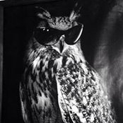 Marion Rauch's photo