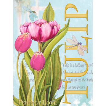 "Elegant Tulip II" Canvas Art, 24"x36"