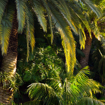Beverly Hills Residence