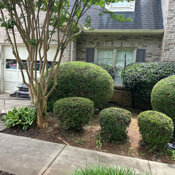 Landscaping