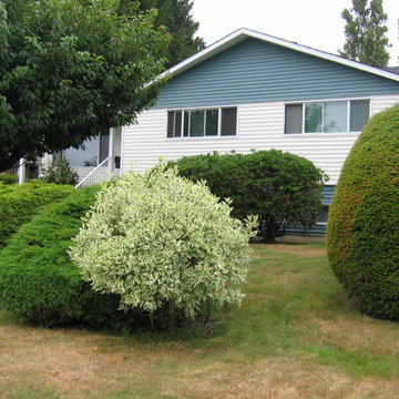 Burnaby H/G Before