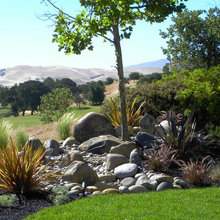 Dry Creek Bed