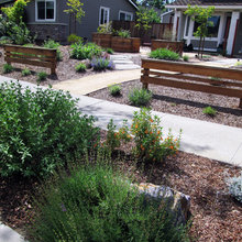 Spencer Yard Ideas