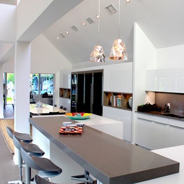 Clean Contemporary Kitchen