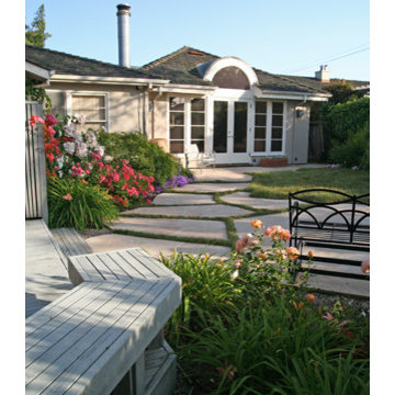 Carex Pansa: The natural lawn