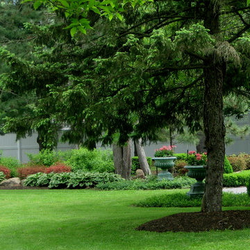 Landscape Renovation