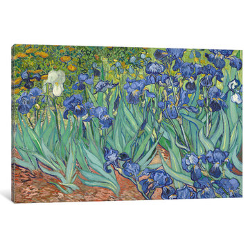 Irises, 1889  by Vincent van Gogh