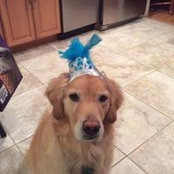 Kim Snyder's photo