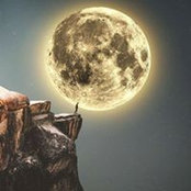 Angelo Nassisi's photo