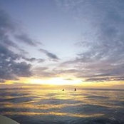 Topher Everett's photo