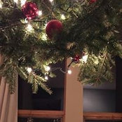 Paige von Hoffmann's photo