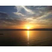 Abby Hallford's photo