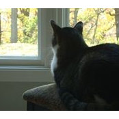 Becky Boyle's photo