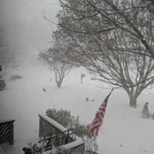 Gail Pitts's photo