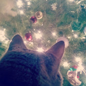 Leena Rose's photo