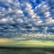 TamI Soehnlen's photo