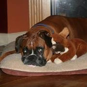 Kellie Wagner-Englund's photo