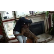 Stacey Croxen's photo