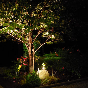 A Complete Outdoor Lighting Paradise