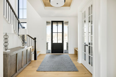 Entryway - transitional entryway idea in Minneapolis