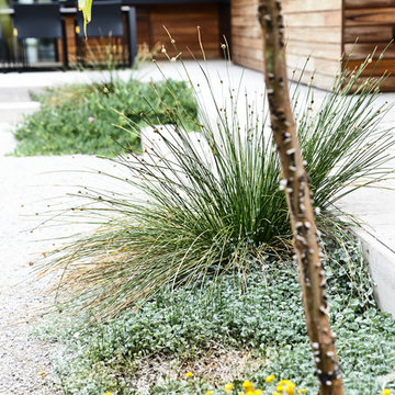 Blairgowrie Coastal Home & Landscape