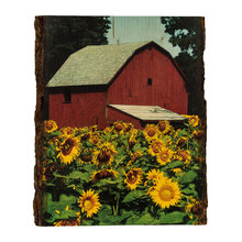 farmhouse decor