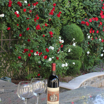 East Sac Backyard Elegance