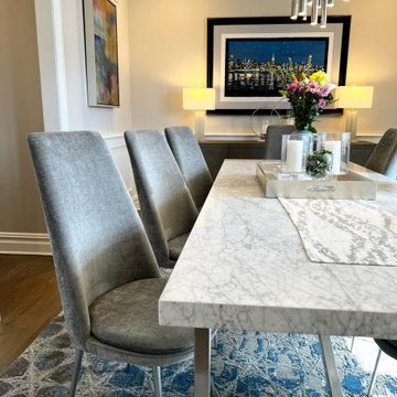 Mid Century modern Dining Chairs