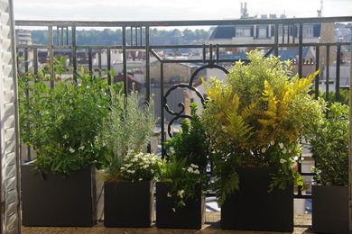 Cette image montre un balcon design de taille moyenne avec des plantes en pot et aucune couverture.