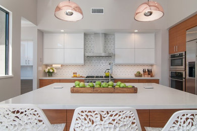 Design ideas for a contemporary kitchen in San Diego.