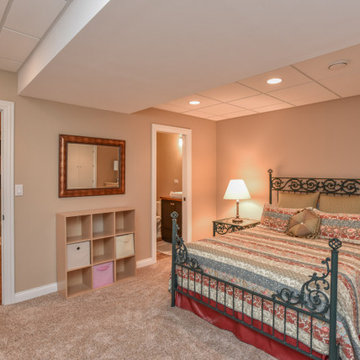 Kildeer Basement Remodel