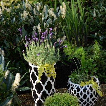Contemporary Herb Containers