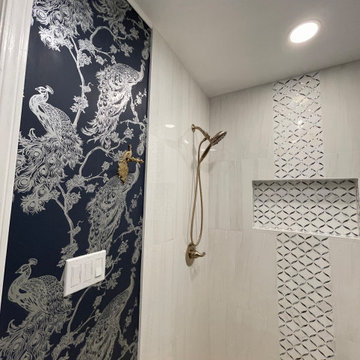Danville Guest Bathroom remodel