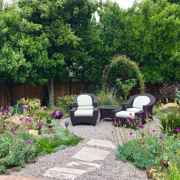 Saratoga - Lawn replacement & reduction