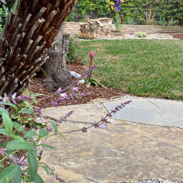 Hermosa Beach: Pollinator Garden