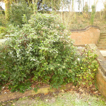 Parson's Plot