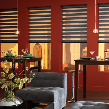 Allure Transitional Shades