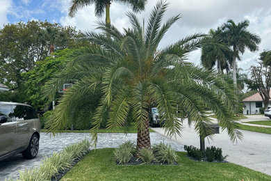 Design ideas for a contemporary landscaping in Miami.