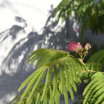 Moderner Atriumgarten