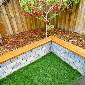 Backyard Makeover