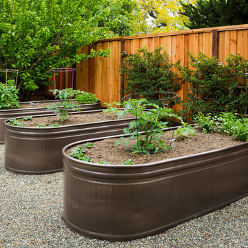 Mountain View Rustic