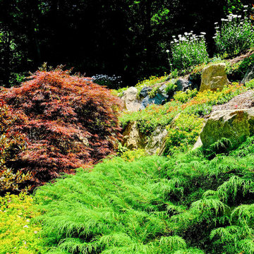 Hillside Beautification